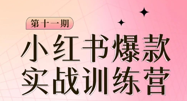 小红书博主爆款训练营第11期，手把手教你从0-1做小红书，从定位到起号到变现-圆梦资源网