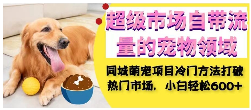 超级市场自带流量的宠物领域，同城萌宠项目冷门方法打破热门市场，小白轻松600+-圆梦资源网