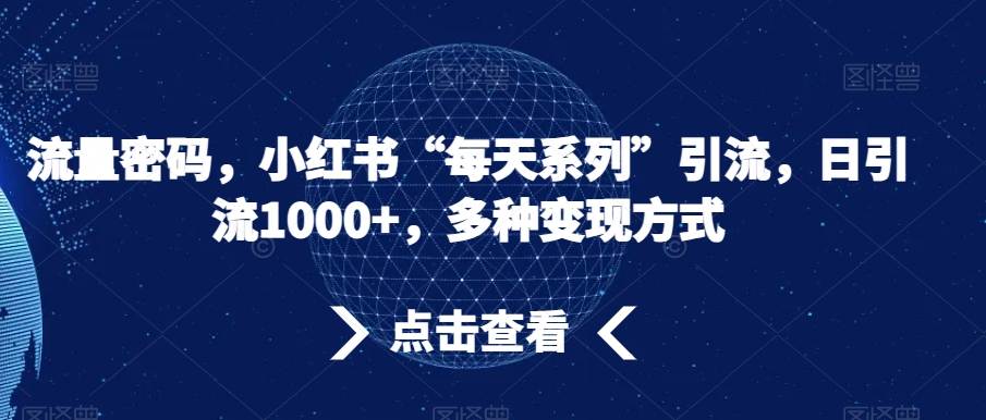 流量密码，小红书“每天系列”引流，日引流1000+，多种变现方式【揭秘】-圆梦资源网