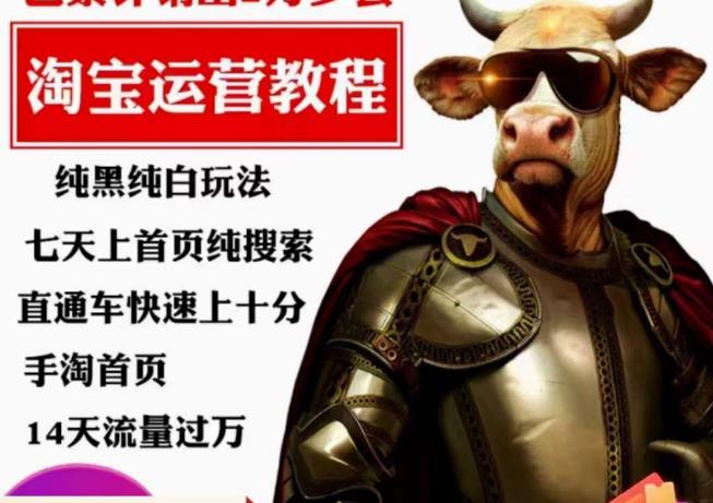 猫老师·淘系算法逆向解密，​纯黑纯白玩法，七天上首页纯搜索，手淘首页14天流量过万-圆梦资源网