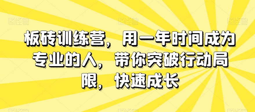 板砖训练营，用一年时间成为专业的人，带你突破行动局限，快速成长-圆梦资源网