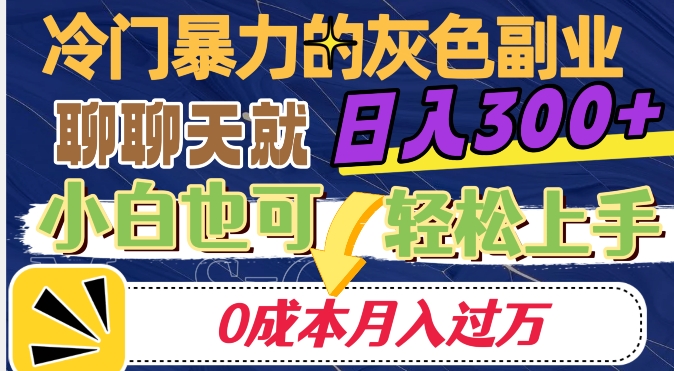 冷门暴利的副业项目，聊聊天就能日入300+，0成本月入过万【揭秘】-圆梦资源网