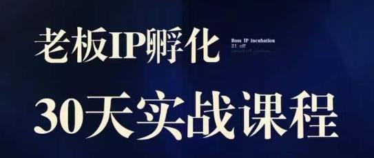 诸葛·2023老板IP实战课，实体同城引流获客，IP孵化必听-圆梦资源网