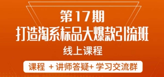 南掌柜-第17期打造淘系标品大爆款，5天线上课-圆梦资源网