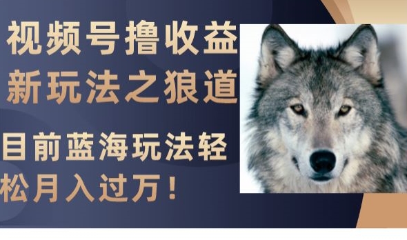视频号撸收益新玩法之狼道，目前蓝海玩法，轻松月入过万【揭秘】-圆梦资源网