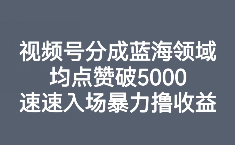 视频号分成蓝海领域，均点赞破5000，速速入场暴力撸收益-圆梦资源网