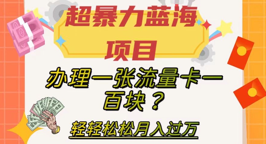 超暴力蓝海项目，办理一张流量卡一百块？轻轻松松月入过万，保姆级教程【揭秘】-圆梦资源网