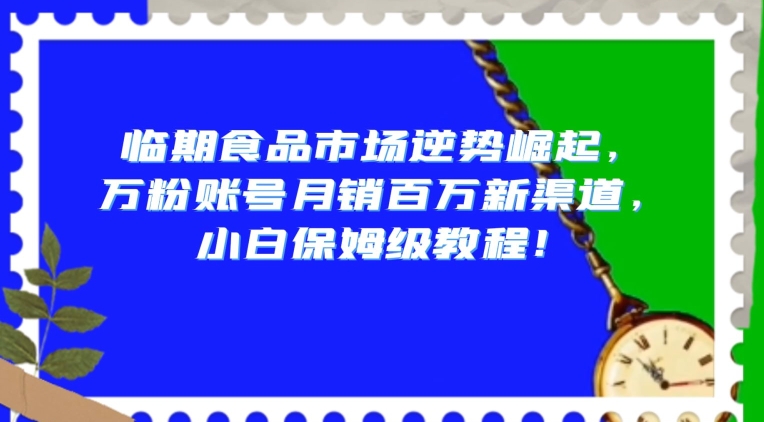 临期食品市场逆势崛起，万粉账号月销百万新渠道，小白保姆级教程【揭秘】-圆梦资源网