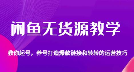 闲鱼无货源教学，教你起号，养号打造爆款链接以及转转的运营技巧-圆梦资源网