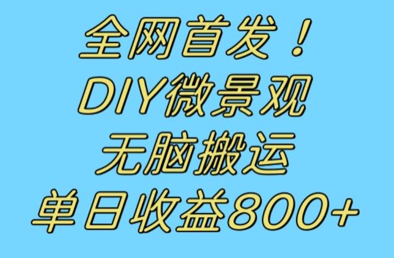 全网首发冷门赛道！DIY微景观，无脑搬运视频，日收益800+【揭秘】-圆梦资源网