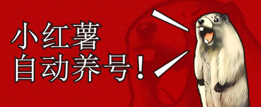小红书养号秘籍，如何自动涨粉清晰系统标签打造高权重账号【揭秘】-圆梦资源网