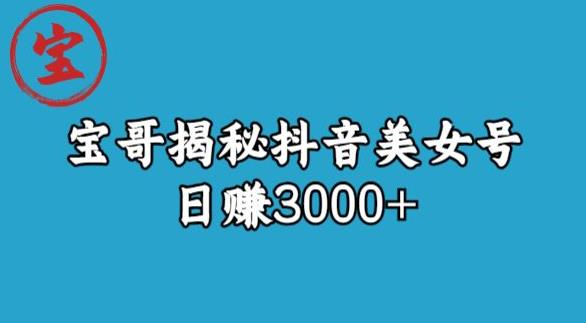 宝哥揭秘抖音美女号玩法，日赚3000+【揭秘】-圆梦资源网