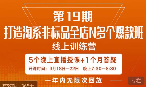 打造淘系非标全店N多个爆款线上课，​5天直播课-圆梦资源网