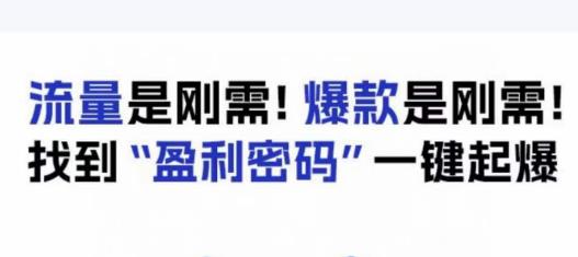 电商盈利精品课：6大盈利密码让产品更好卖，流量是刚需！爆款是刚需！找到”盈利密码”一键起爆-圆梦资源网