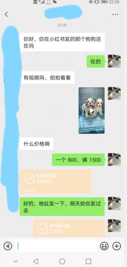 外边收费3980的同城萌宠项目，用最冷门的玩法冲击最热门的市场【揭秘】-圆梦资源网