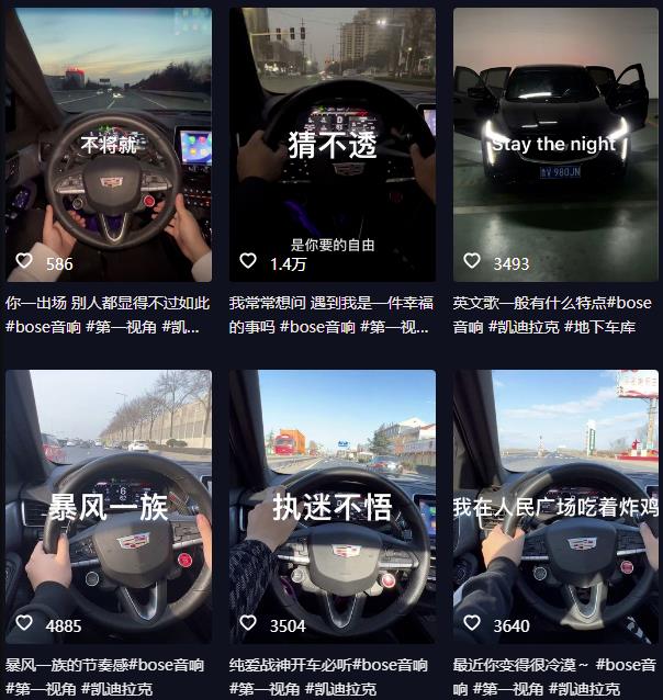 抖音开车视频项目，0基础操作，每天五分钟，月入1W+【揭秘】-圆梦资源网