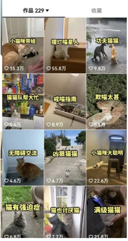拆解：抖音盘点类中视频变现副业项目，视频版一条龙大解析分享给你-圆梦资源网
