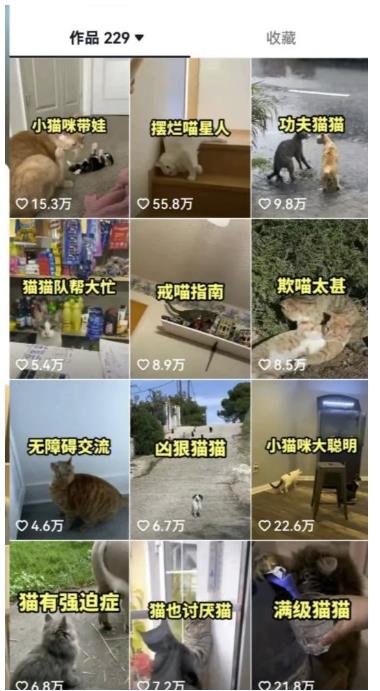 拆解抖音盘点类中视频变现副业项目，视频版一条龙大解析分享给你【视频课程】-圆梦资源网
