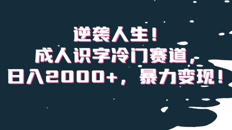 逆袭人生！成人识字冷门赛道，日入2000+，暴力变现！【揭秘】-圆梦资源网