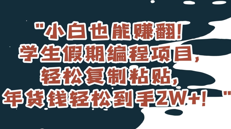 小白也能赚翻！学生假期编程项目，轻松复制粘贴，年货钱轻松到手2W+【揭秘】-圆梦资源网