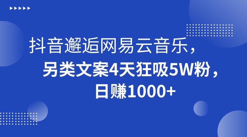 抖音邂逅网易云音乐，另类文案4天狂吸5W粉，日赚1000+【揭秘】-圆梦资源网
