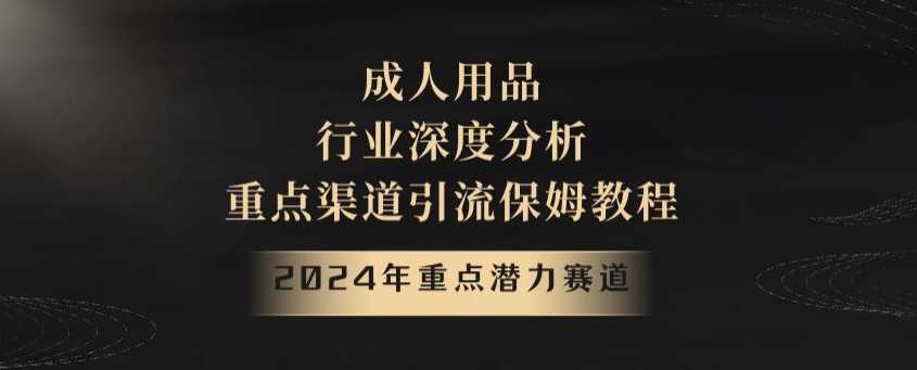 2024年重点潜力赛道，成人用品行业深度分析，重点渠道引流保姆教程【揭秘】-圆梦资源网