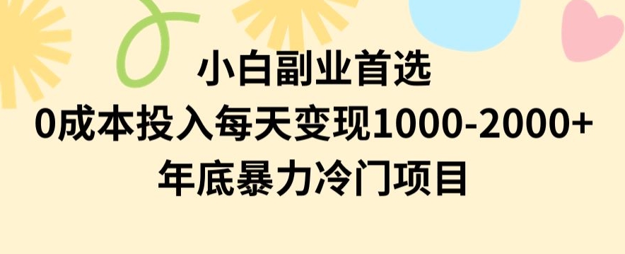 小白副业首选，0成本投入，每天变现1000-2000年底暴力冷门项目【揭秘】-圆梦资源网