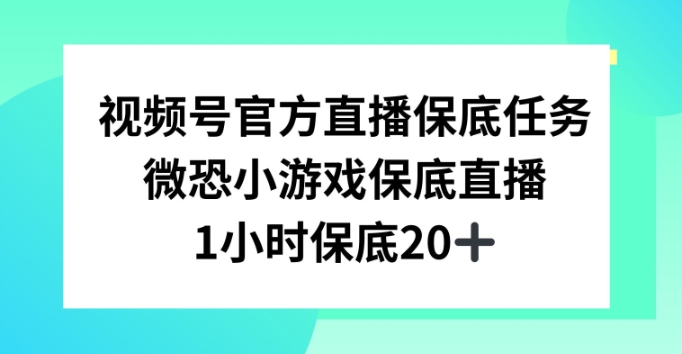 视频号直播任务，微恐小游戏，1小时20+【揭秘】-圆梦资源网