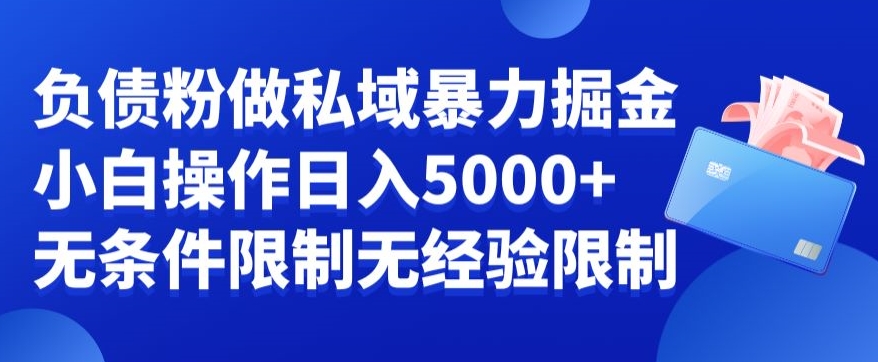 负债粉私域暴力掘金，小白操作入5000，无经验限制，无条件限制【揭秘】-圆梦资源网