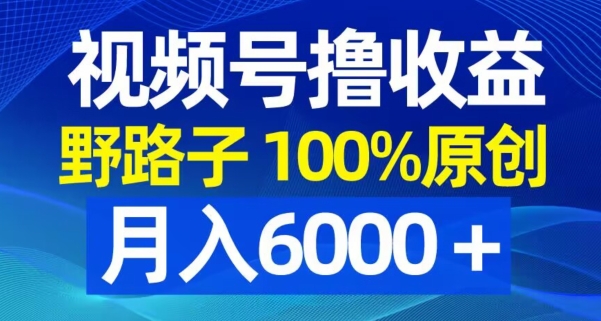 视频号野路子撸收益，100%原创，条条爆款，月入6000＋【揭秘】-圆梦资源网