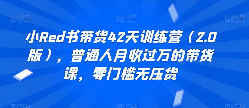 小Red书带货42天训练营（2.0版），普通人月收过万的带货课，零门槛无压货-圆梦资源网