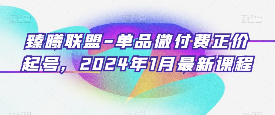 臻曦联盟-单品微付费正价起号，2024年1月最新课程-圆梦资源网