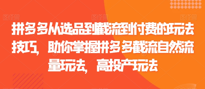 拼多多从选品到截流到付费的玩法技巧，助你掌握拼多多截流自然流量玩法，高投产玩法-圆梦资源网
