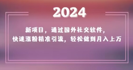 2024新项目，通过国外社交软件，快速涨粉精准引流，轻松做到月入上万【揭秘】-圆梦资源网