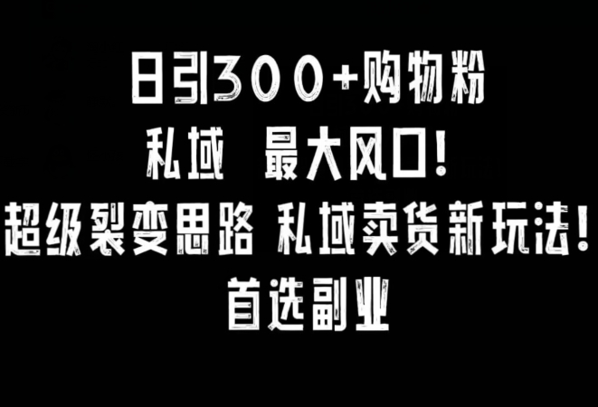 日引300+购物粉，超级裂变思路，私域卖货新玩法，小红书首选副业【揭秘】-圆梦资源网