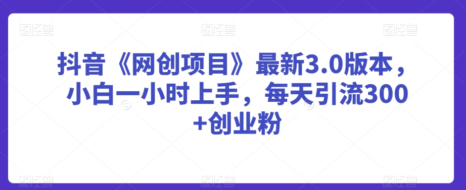 抖音《网创项目》最新3.0版本，小白一小时上手，每天引流300+创业粉【揭秘】-圆梦资源网