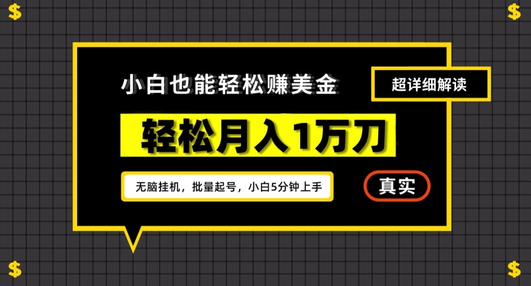 谷歌看广告撸美金2.0，无脑挂机，多号操作，月入1万刀【揭秘】-圆梦资源网