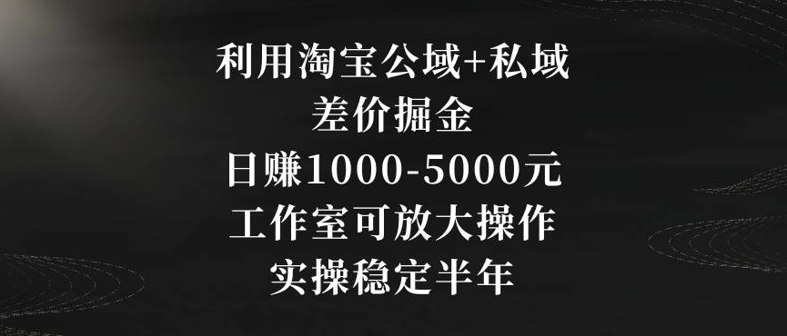 利用淘宝公域+私域差价掘金，日赚1000-5000元，工作室可放大操作，实操稳定半年【揭秘】-圆梦资源网