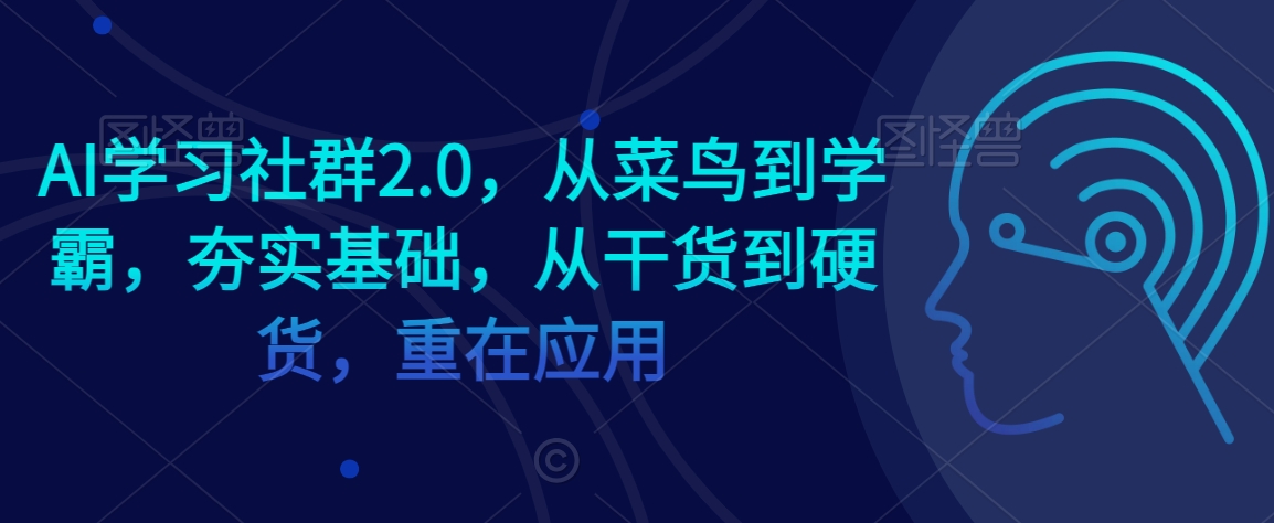 AI学习社群2.0，从菜鸟到学霸，夯实基础，从干货到硬货，重在应用-圆梦资源网