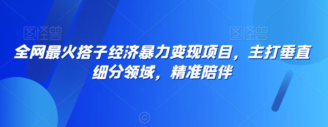 全网最火搭子经济暴力变现项目，主打垂直细分领域，精准陪伴【揭秘】-圆梦资源网