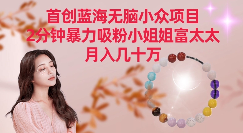 首创蓝海无脑小众项目，2分钟暴力吸粉小姐姐富太太，月入几十万【揭秘】-圆梦资源网