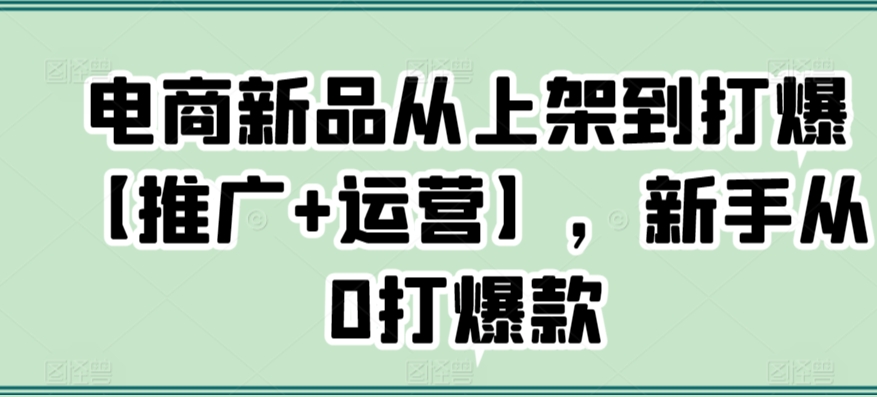 电商新品从上架到打爆【推广+运营】，新手从0打爆款-圆梦资源网