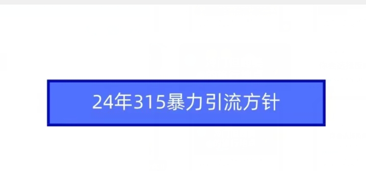 24年315暴力引流方针-圆梦资源网