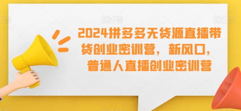 2024拼多多无货源直播带货创业密训营，新风口，普通人直播创业密训营-圆梦资源网