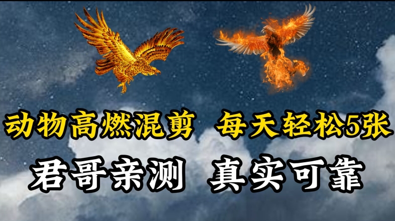 动物超燃混剪，每天轻松5张，剪辑简单大家爱看【揭秘】-圆梦资源网