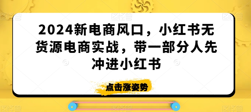 2024新电商风口，小红书无货源电商实战，带一部分人先冲进小红书-圆梦资源网