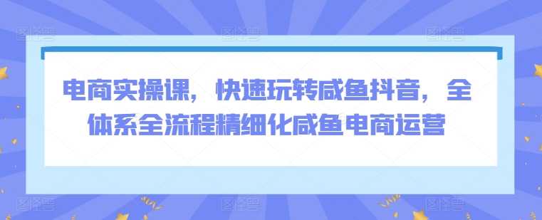 电商实操课，快速玩转咸鱼抖音，全体系全流程精细化咸鱼电商运营-圆梦资源网