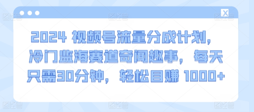 2024视频号流量分成计划，冷门监海赛道奇闻趣事，每天只需30分钟，轻松目赚 1000+【揭秘】-圆梦资源网
