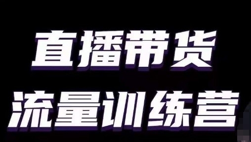 直播带货流量训练营，小白主播必学直播课-圆梦资源网