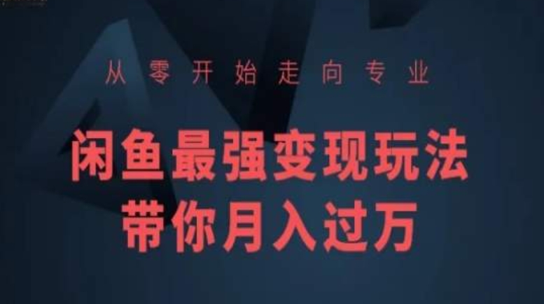 从零开始走向专业，闲鱼最强变现玩法带你月入过万-圆梦资源网